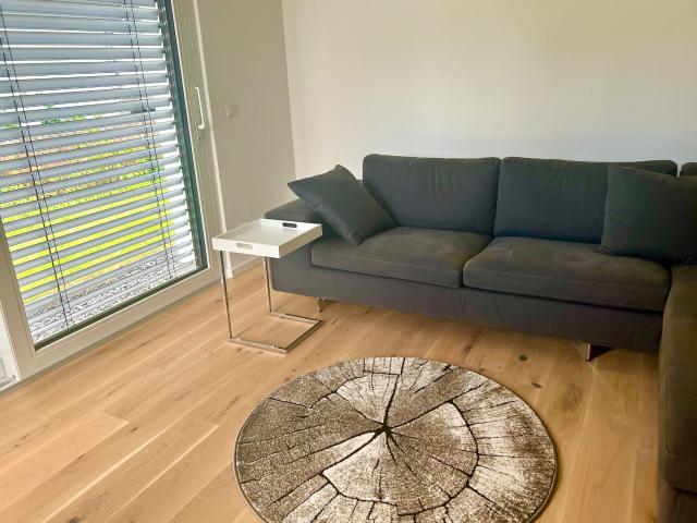 Würzburg: Exclusively and stylishly furnished new apartment in idyllic surroundings WLAN Parking