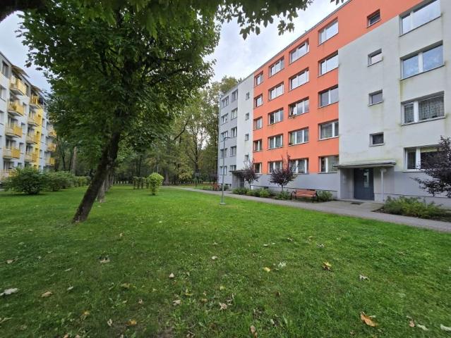 Na wynajem przestronne 2 pokojowe mieszkanie 32 m² w Nowej Dębie