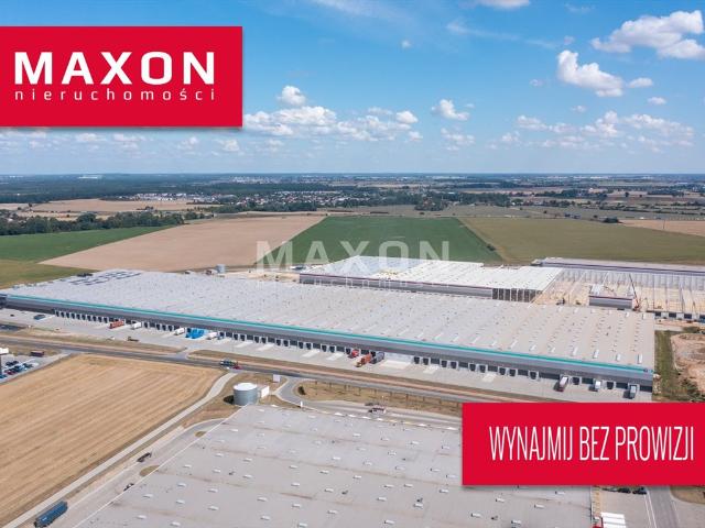 Wynajmę magazyn 15 000 m² z biurem w Robakowie