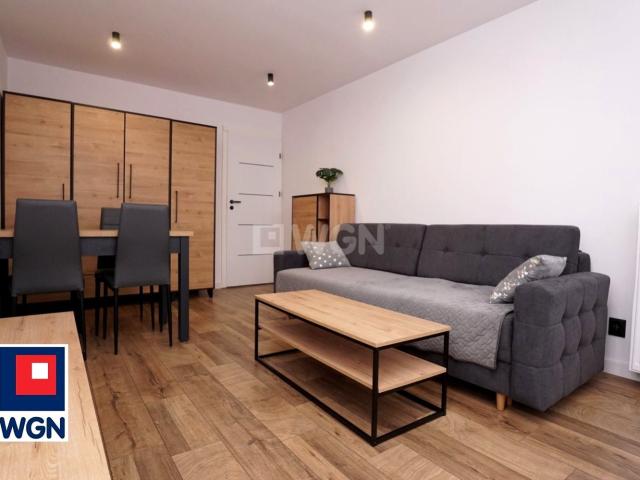 Wynajmę mieszkanie 43 m² ul. Krasickiego, Piotrków Trybunalski, Wyzwolenia