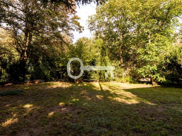 Wynajmę mieszkanie 80 m² ul. Brwinowska, Podkowa Leśna
