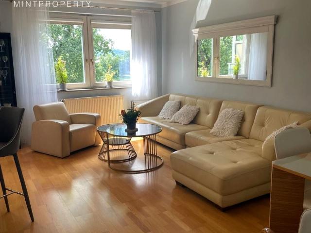 Wynajmę mieszkanie 175 m² ul. Smocza, Kraków, Dębniki