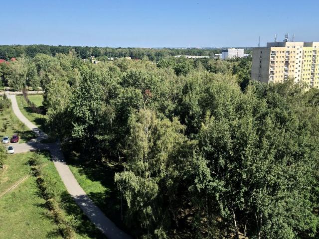 Wynajmę mieszkanie 36 m² ul. Centaura, Gliwice, Kopernik