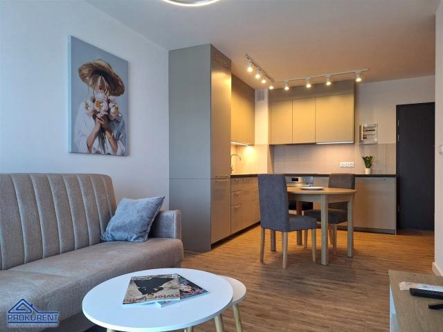 Wynajmę mieszkanie w apartamentowcu m2 z aneksem kuchennym 37 m² Bielsko Biała, Sarni Stok