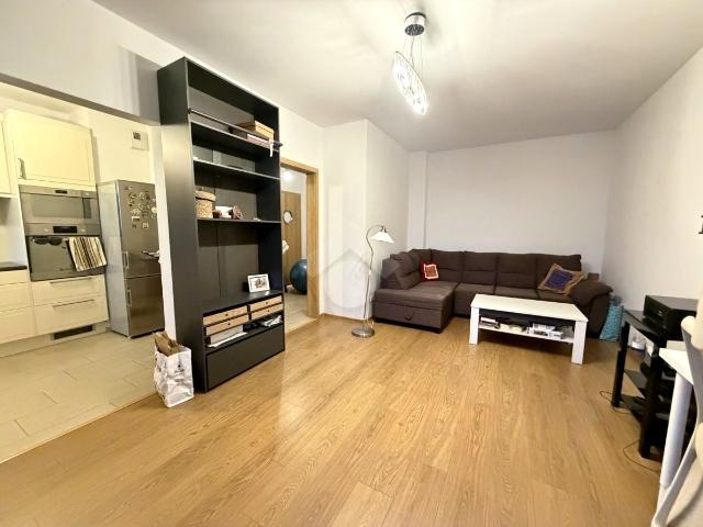 Wynajmę mieszkanie w apartamentowcu m2 z aneksem kuchennym 55 m² Wrocław, Kępa Mieszczańska