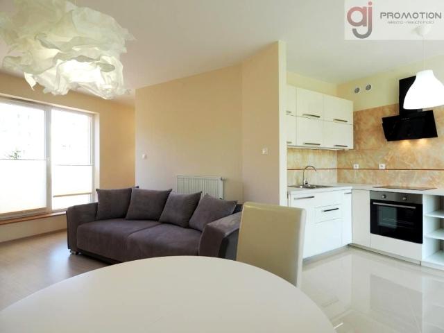 Wynajmę mieszkanie w apartamentowcu m2 z aneksem kuchennym 58 m² Łódź, Chojny Dąbrowa Dąbrowa