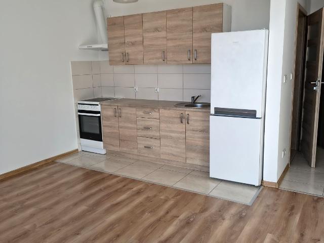 Wynajmę mieszkanie w apartamentowcu kawalerka z aneksem kuchennym 25 m² ul. Dobrowolskiego, Pruszcz Gdański