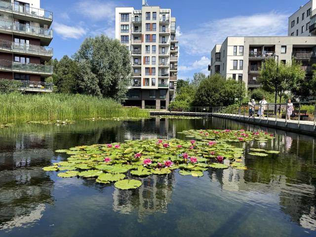Wynajmę mieszkanie w apartamentowcu wysoki standard 44,54 m² nad jeziorem Warszawa, Ursynów