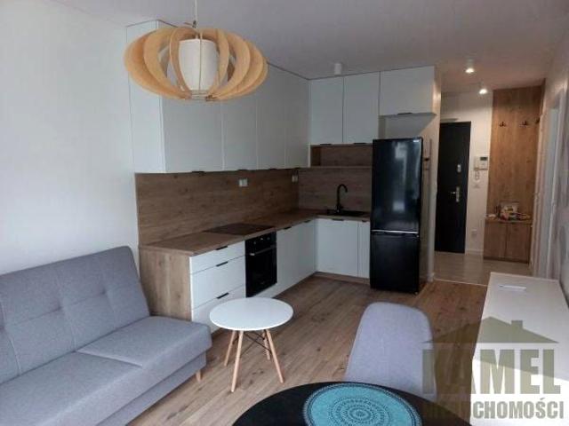 Wynajmę mieszkanie w apartamentowcu 38 m² wysoki standard ul. Kolendrowa, Opole, Kolonia Gosławicka