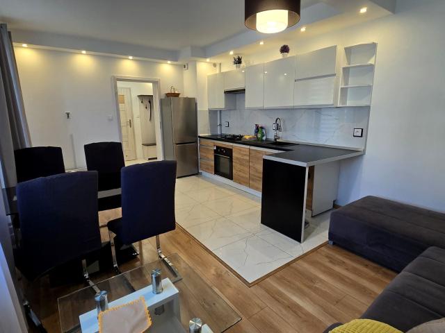 Wynajmę mieszkanie w apartamentowcu 45 m² wysoki standard Sosnowiec, Sielec