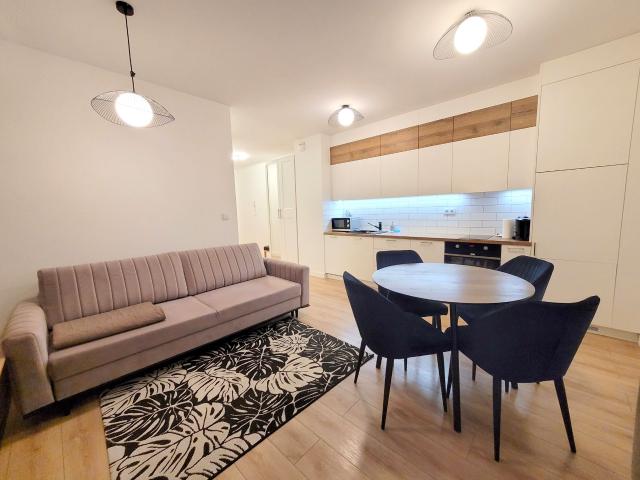 Wynajmę mieszkanie w apartamentowcu 56 m² nad rzeką Gdańsk, Śródmieście