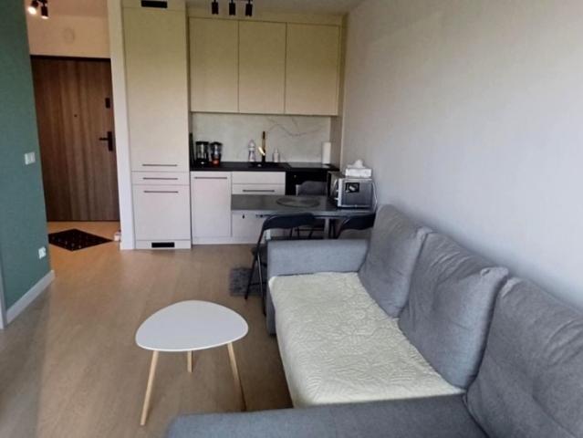 Wynajmę mieszkanie w bloku mieszkalnym m2 z aneksem kuchennym 31,17 m² ul. Jeziorna, Rumia