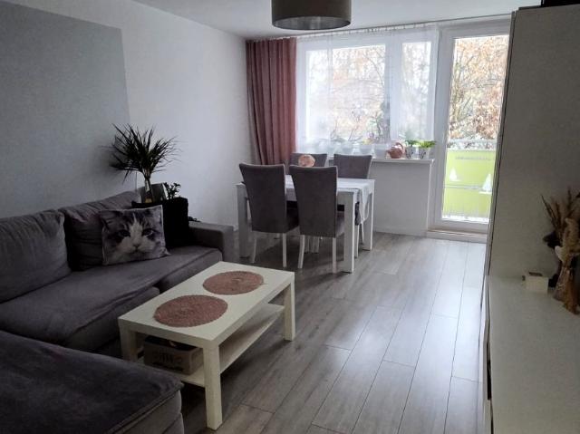 Wynajmę mieszkanie w bloku mieszkalnym m2 z kuchnią w zabudowie 42,20 m² Ruda Śląska, Godula