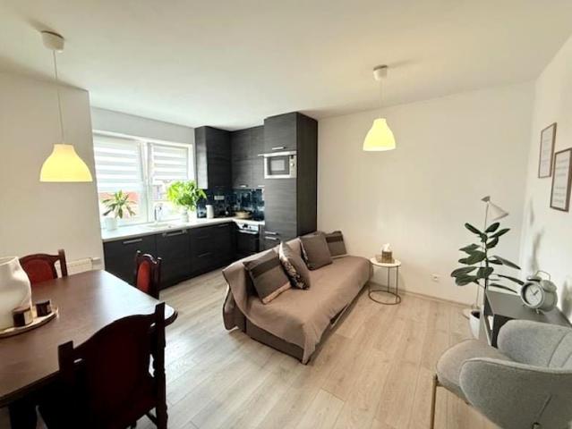 Wynajmę mieszkanie w bloku mieszkalnym m3 z kuchnią z oknem 55 m² Ogrody, Leszno