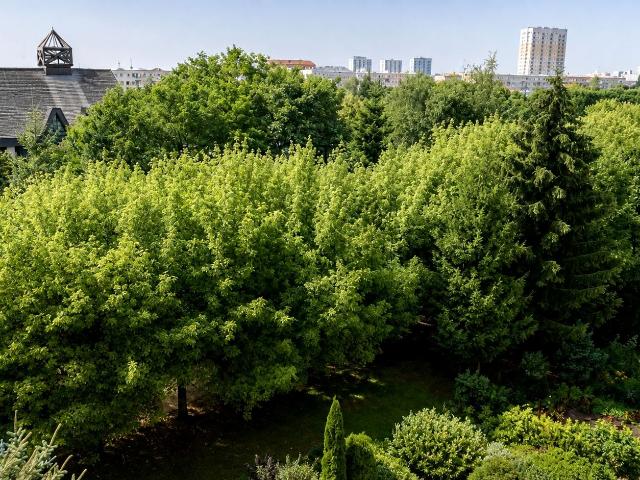 Wynajmę mieszkanie w bloku mieszkalnym m3 z oddzielną kuchnią 53 m² Poznań, Zwycięstwa