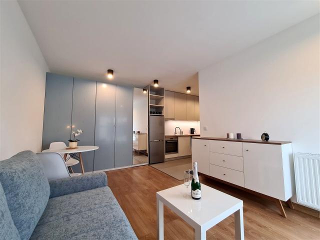 Wynajmę mieszkanie w bloku mieszkalnym kawalerka z aneksem kuchennym 26 m² ul. Małysiaka, Kraków, Dębniki