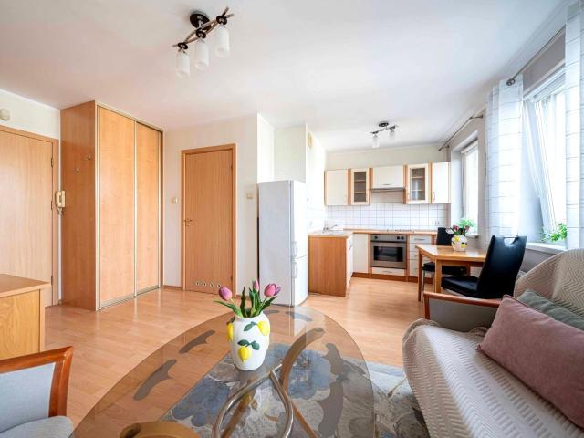 Wynajmę mieszkanie w bloku mieszkalnym kawalerka z kuchnią z oknem 25,30 m² ul. Szczepanowskiego, Poznań