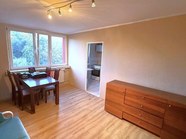 Wynajmę mieszkanie w bloku mieszkalnym kawalerka z kuchnią z oknem 30 m² Sosnowiec, Pogoń