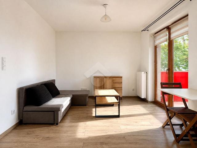 Wynajmę mieszkanie w bloku mieszkalnym 25 m² nad rzeką Kraków, Czyżyny