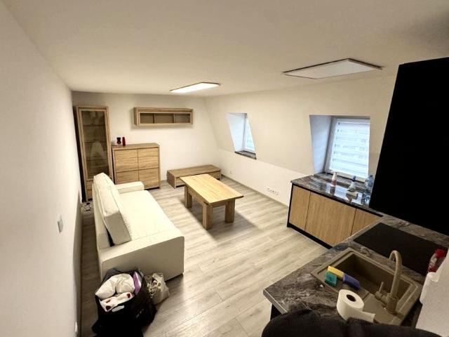Wynajmę mieszkanie w domu wielorodzinnym kawalerka z aneksem kuchennym 26 m² ul. Cieplicka, Sobieszów