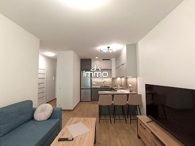 Wynajmę mieszkanie w domu wielorodzinnym m2 z aneksem kuchennym 39,60 m² Oleśnica, Serbinów