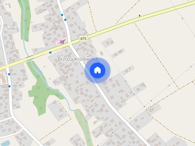 Wynajmę przytulną kawalerkę – Brzóza Królewska 27 m²