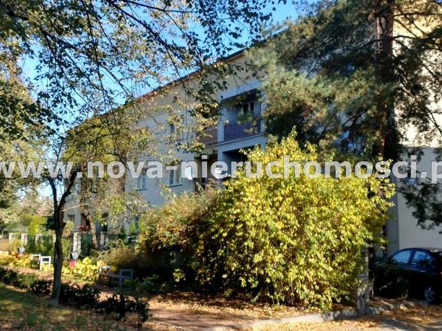 Wynajem m 3 świetna lokalizacja Rybnik Cmentarna Śródmieście
