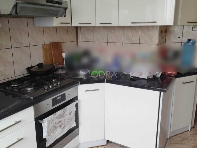 Wynajem 2 pokojowe 50m² umeblowane w Jelcz Laskowice polecam!