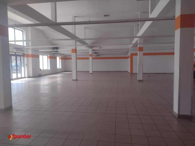 Wynajem 450m2 biura i sklepu w centrum Sędziszowa