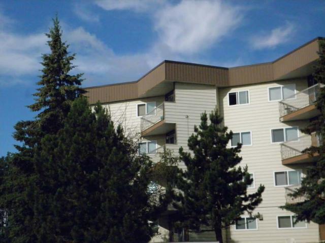 Wyndwood 2 Bedroom Apartment for Rent