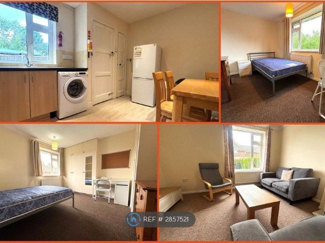 Wycliffe Road, Norwich NR4, 4 bed semi detached house to rent, £1,600 pcm | PrimeLocation