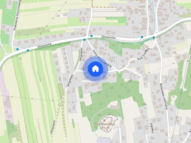 Wyjątkowy dom przy lesie z dużym ogrodem i sadem | Zwierzyniec – Olszanica | 160