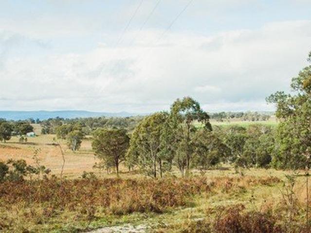 Wylie Creek land in the Northern New England region