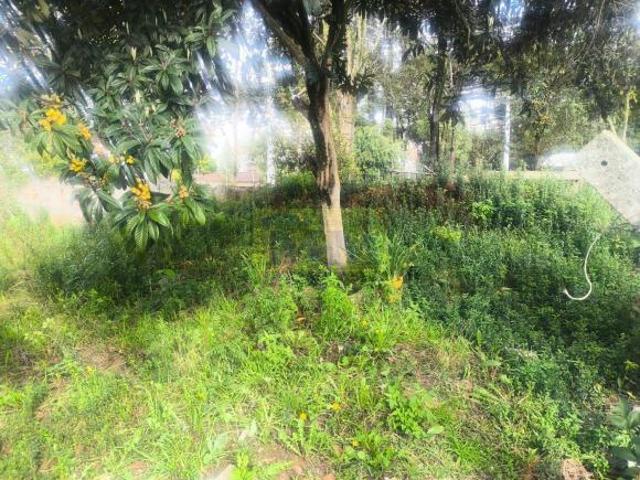 🌟  Exclusivo Terreno de Esquina na CIC: Vista Privilegiada para o Parque São Nico