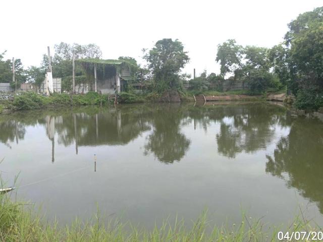 อาคารโรงงาน 10386.7 ตร.วา ตะพานหิน พิจิตร 15.6M