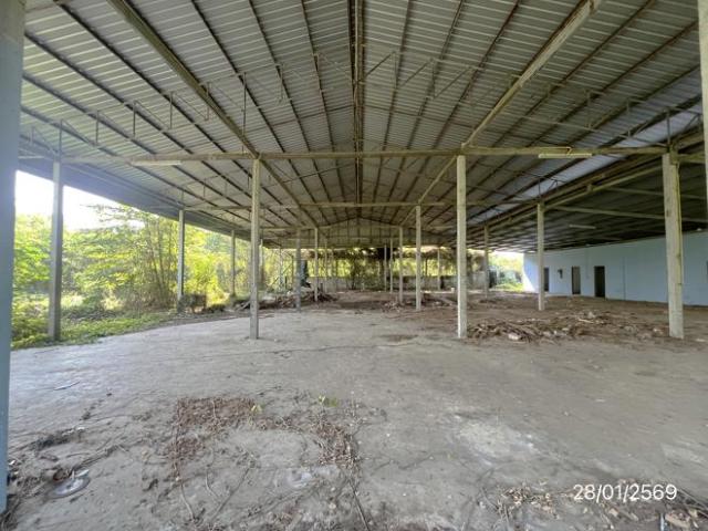 อาคารโรงงาน 1283 ตร.วา โพทะเล พิจิตร 2.6M