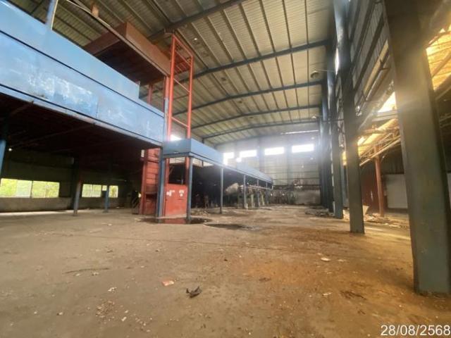 อาคารโรงงาน 4520.3 ตร.วา ไชโย อ่างทอง 115.4M