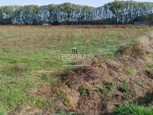 XINZO DE LIMIA, magnífica finca rústica, ideal para explotación agrícola o cultivo natural