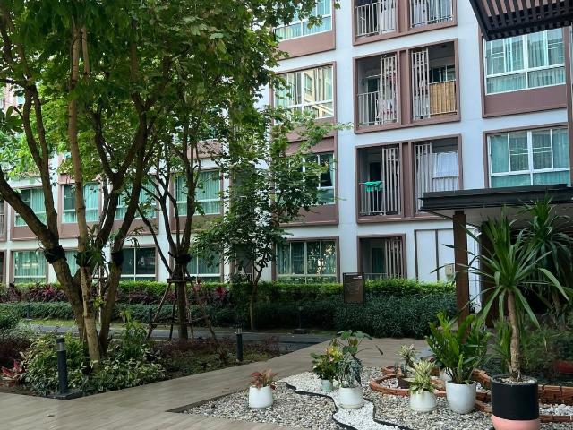 โอกาสทอง! ดีคอนโด พิงค์ เชียงใหม่ D Condo Ping ย่านทำเลทอง ฟ้าฮ่าม T. 063 6649
