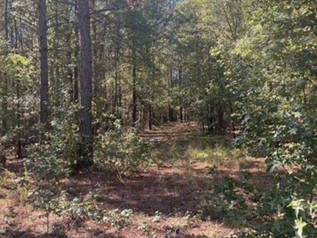 Xx Tract 11 Castle, Amity, AR 71921