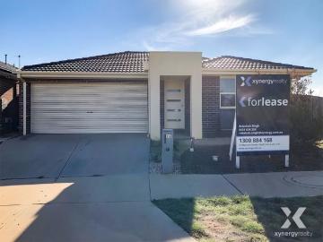 Xynergy Realty