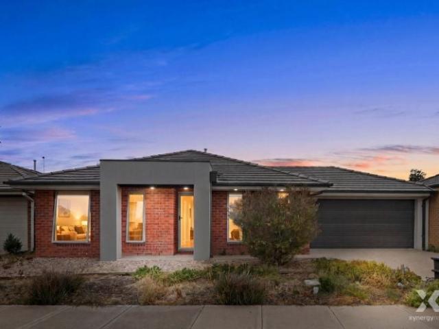Xynergy Realty