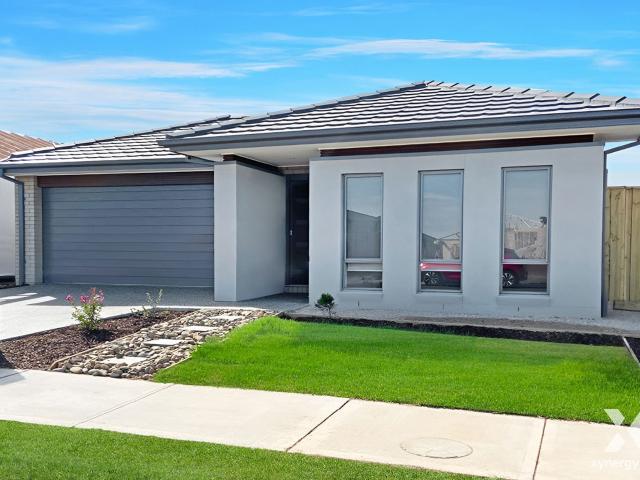 Xynergy Realty