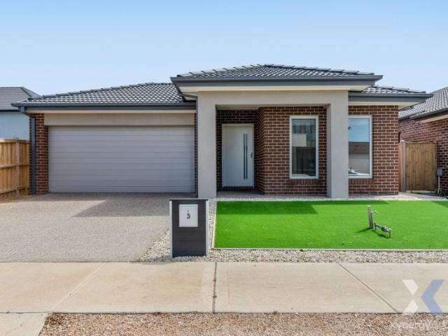 Xynergy Realty