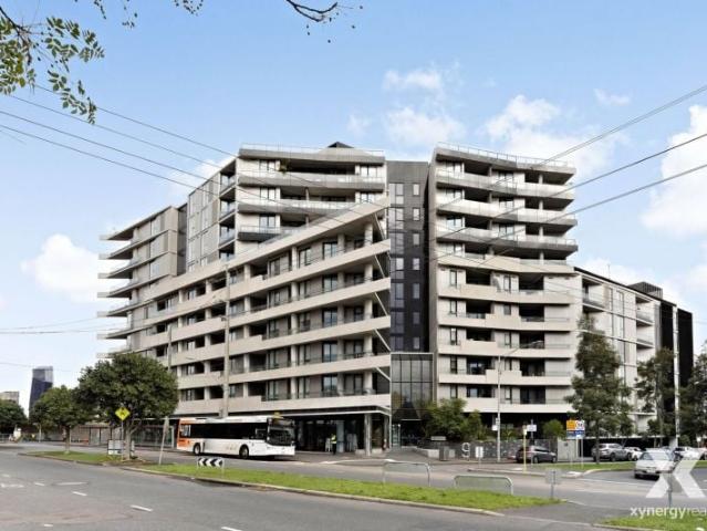 Xynergy Realty