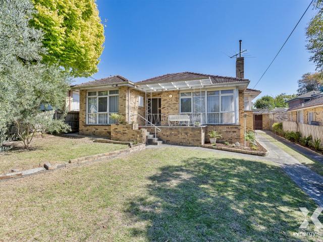 Xynergy Realty