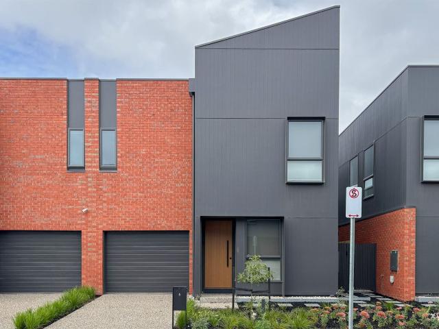 Xynergy Realty