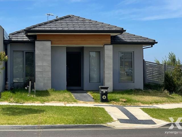 Xynergy Realty