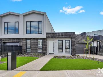 Xynergy Realty