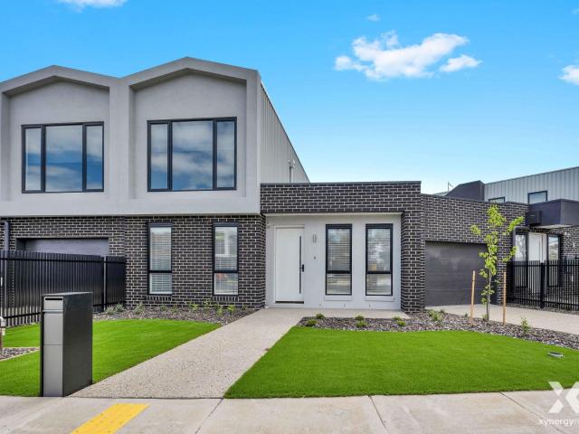 Xynergy Realty
